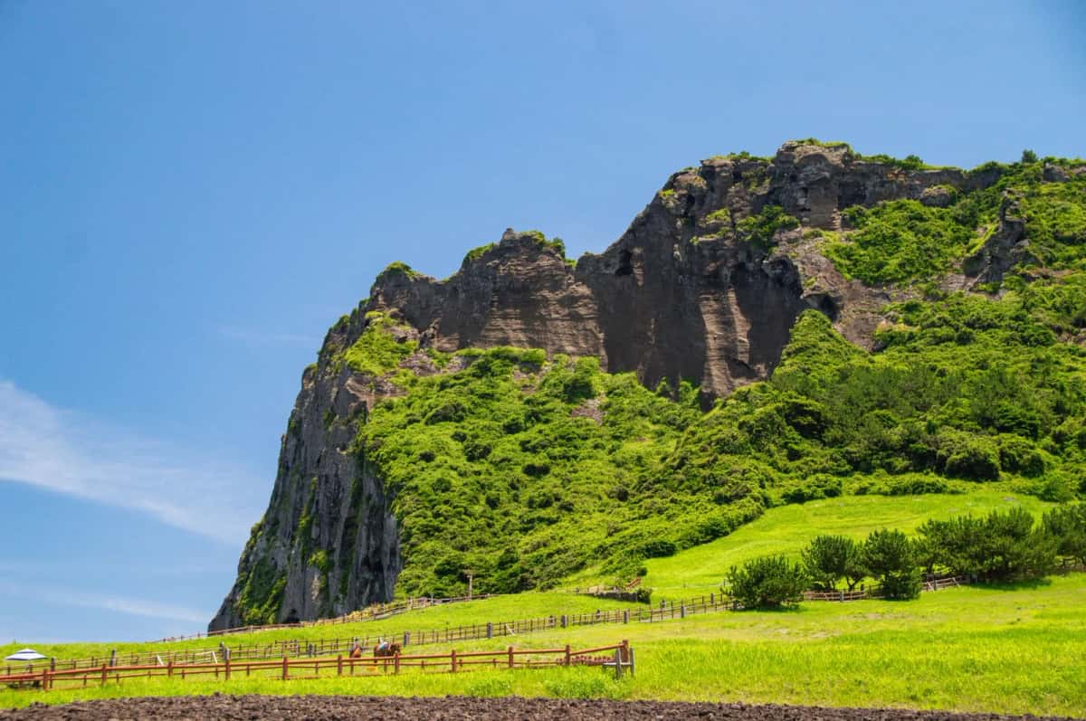 Le cratère volcanique de Seongsan Ilchulbong sur l'île de Jeju